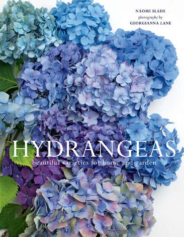 Hydrangeas: Beautiful Varieties for Home &amp; Garden